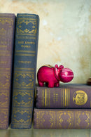 One Dozen Miniature Soapstone Hippos