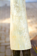 Kenyan Cow Horn Warrior Bowl Sculptures