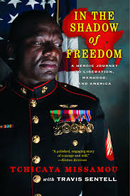 In the shadow of freedom: A heroic journey to liberation, manhood, and America