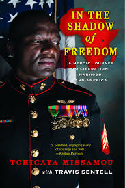 In the shadow of freedom: A heroic journey to liberation, manhood, and America