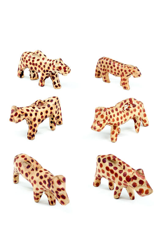Dozen Miniature Jacaranda Leopards