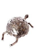 Large Recycled Metal Tortoise Sculpture