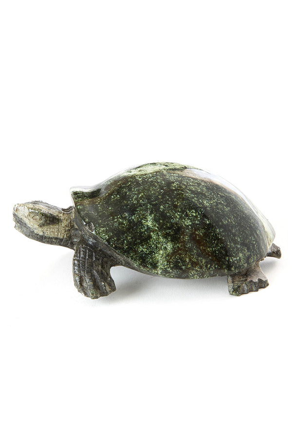 Leopard Stone Softshell Turtle Sculpture from Zimbabwe