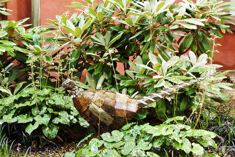 Recycled Metal Pheasant Sculpture from Zimbabwe